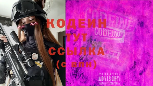 стаф Инсар