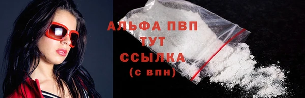 стаф Инсар