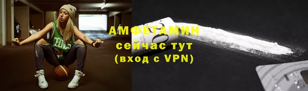 стаф Инсар
