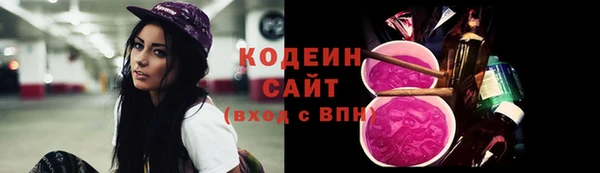 стаф Инсар