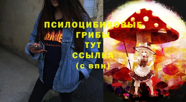 стаф Инсар