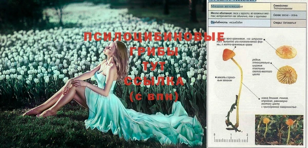 мескалин Инта