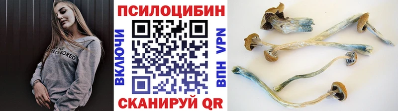 Псилоцибиновые грибы мухоморы  купить наркотики цена  omg как войти  Петров Вал 